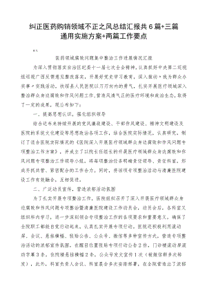 纠正医药购销领域不正之风总结汇报共6篇+三篇通用实施方案+两篇工作要点.docx