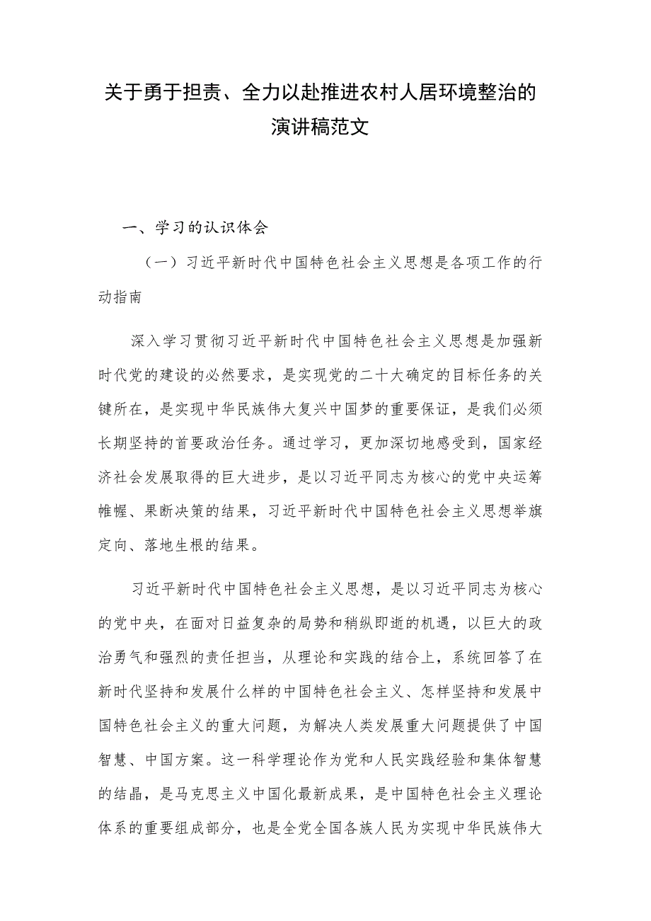 关于勇于担责、全力以赴推进农村人居环境整治的演讲稿范文.docx_第1页