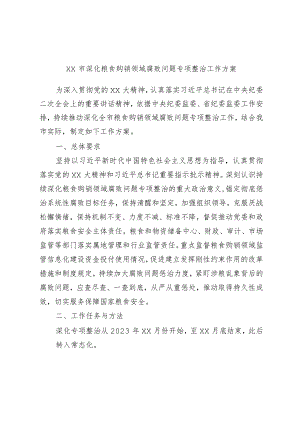 精选xx市深化粮食购销领域腐败问题专项整治工作方案.docx