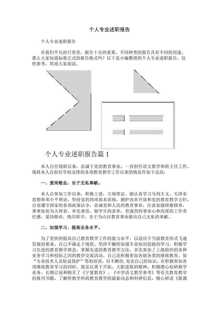 个人专业述职报告.docx_第1页