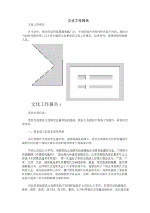 文化工作报告.docx