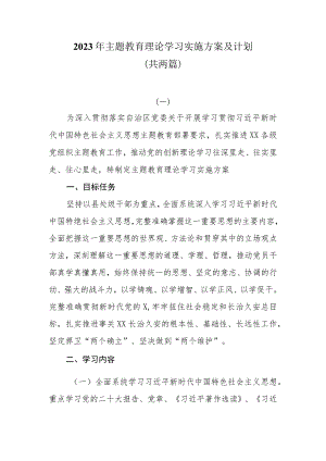 2023年主题教育理论学习实施方案及计划共两篇.docx