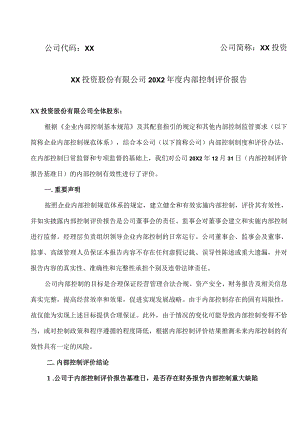 XX投资股份有限公司20X2年度内部控制评价报告.docx