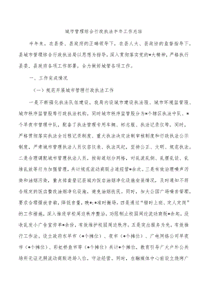 城市管理综合行政执法半年工作总结.docx