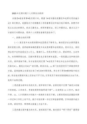 2023年反馈问题个人对照发言提纲.docx