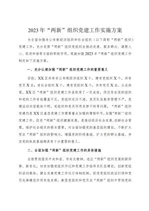 新组织党建方案.docx