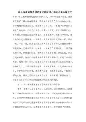 凝心铸魂强根基团结奋进新征程心得体会集合篇范文.docx