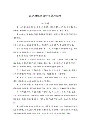 融资担保企业财务管理制度.docx