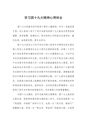 学习贯彻团的十九大精神心得体会模板四篇.docx