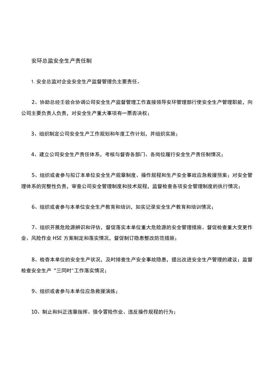 05-2020年度安全生产责任制(安全总监).docx_第1页