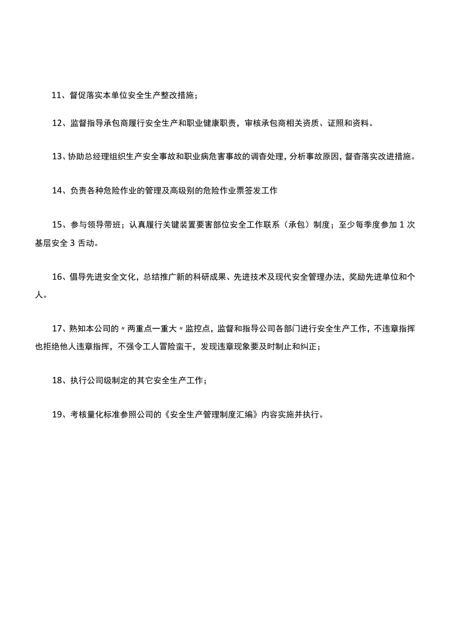 05-2020年度安全生产责任制(安全总监).docx_第2页