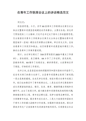 在青年工作联席会议上的讲话精选范文.docx