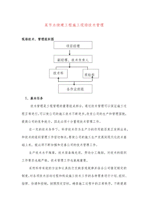 某节水续建工程施工现场技术管理.docx