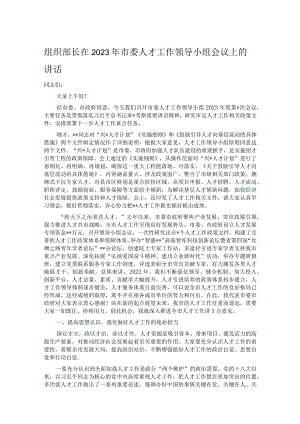 组织部长在2023年市委人才工作领导小组会议上的讲话.docx