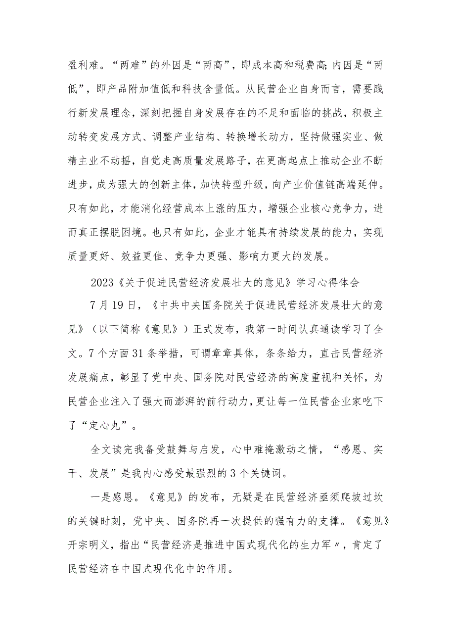 贯彻落实《关于促进民营经济发展壮大的意见》心得体会发言汇篇范文.docx_第3页