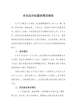 2023年水灾应对处置的情况报告七篇.docx