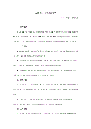 试用期工作总结报告.docx