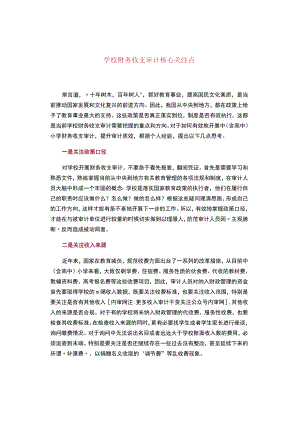 学校财务收支审计核心关注点.docx