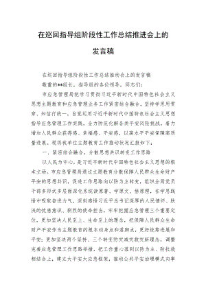 在巡回指导组阶段性工作总结推进会上的发言稿.docx