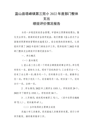 蓝山县塔峰镇第三完小2022年度部门整体支出绩效评价情况报告.docx