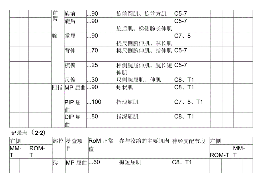 关节活动度检查、徒手肌力检查记录表（患者康复用表模板）.docx_第2页