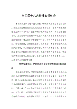 学习青年团第十九次全国代表大会精神的心得体会四篇.docx