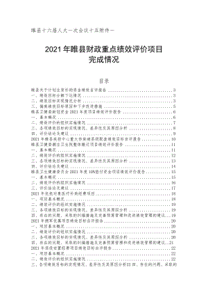 睢县十六届人大一次会议十五2021年睢县财政重点绩效评价项目完成情况.docx