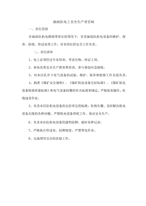 抽放队电工安全生产责任制.docx