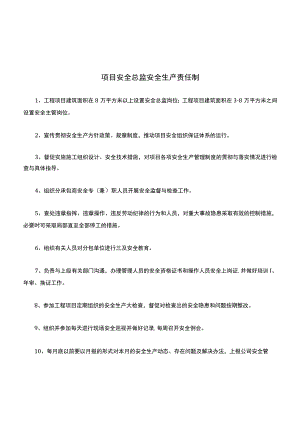 12-项目安全总监安全生产责任制.docx