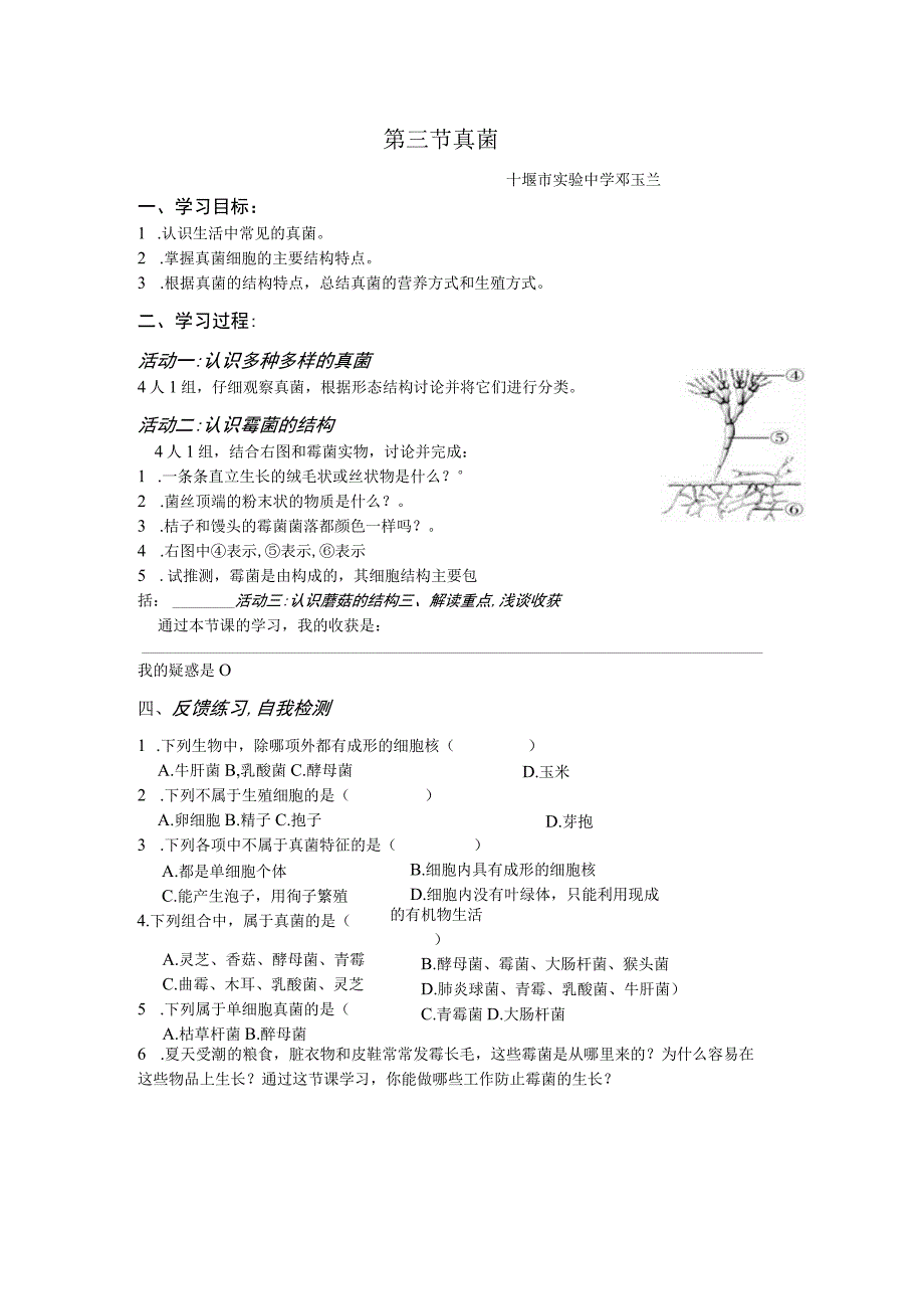 第三节真菌.docx_第1页