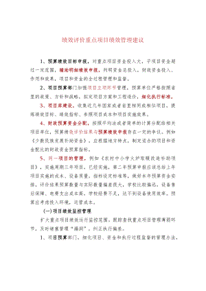 绩效评价重点项目绩效管理建议.docx