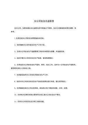 11-分公司安全总监职责.docx