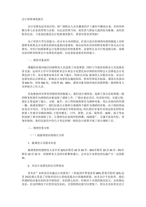 会计核算调查报告.docx