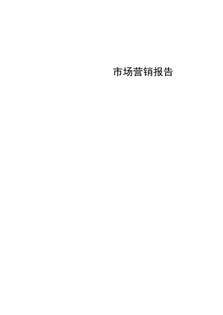 市场营销报告.docx_第2页