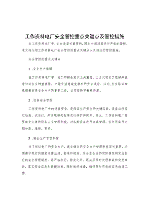 工作资料电厂安全管控重点关键点及管控措施.docx