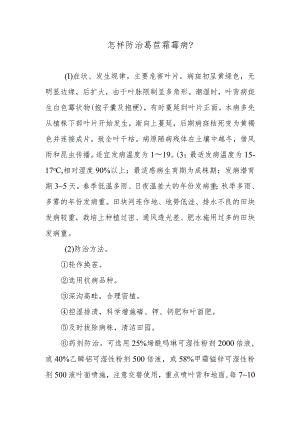 怎样防治莴苣霜霉病.docx