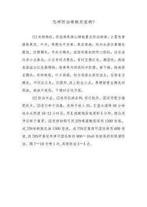 怎样防治辣椒炭疽病.docx