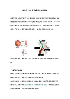 2023年ERCP插管知识总结与技巧体会.docx