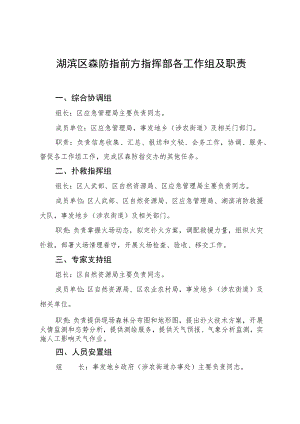 湖滨区森防指前方指挥部各工作组及职责.docx