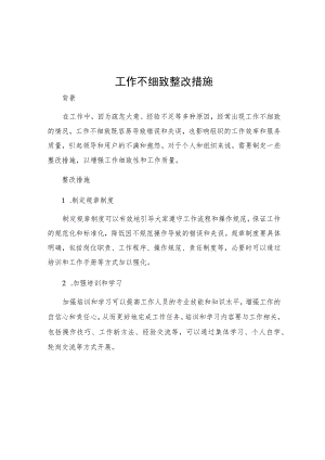 工作不细致整改措施.docx