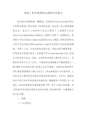 宠物人兽共患病钩虫病的诊治要点.docx