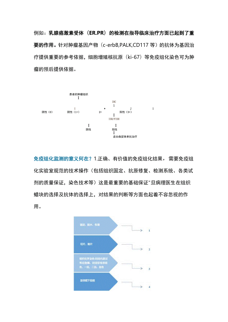 2023病理诊断中的免疫组化.docx_第2页