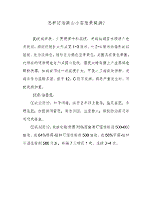 怎样防治高山小香葱紫斑病.docx