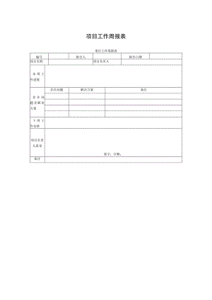 项目工作周报表.docx