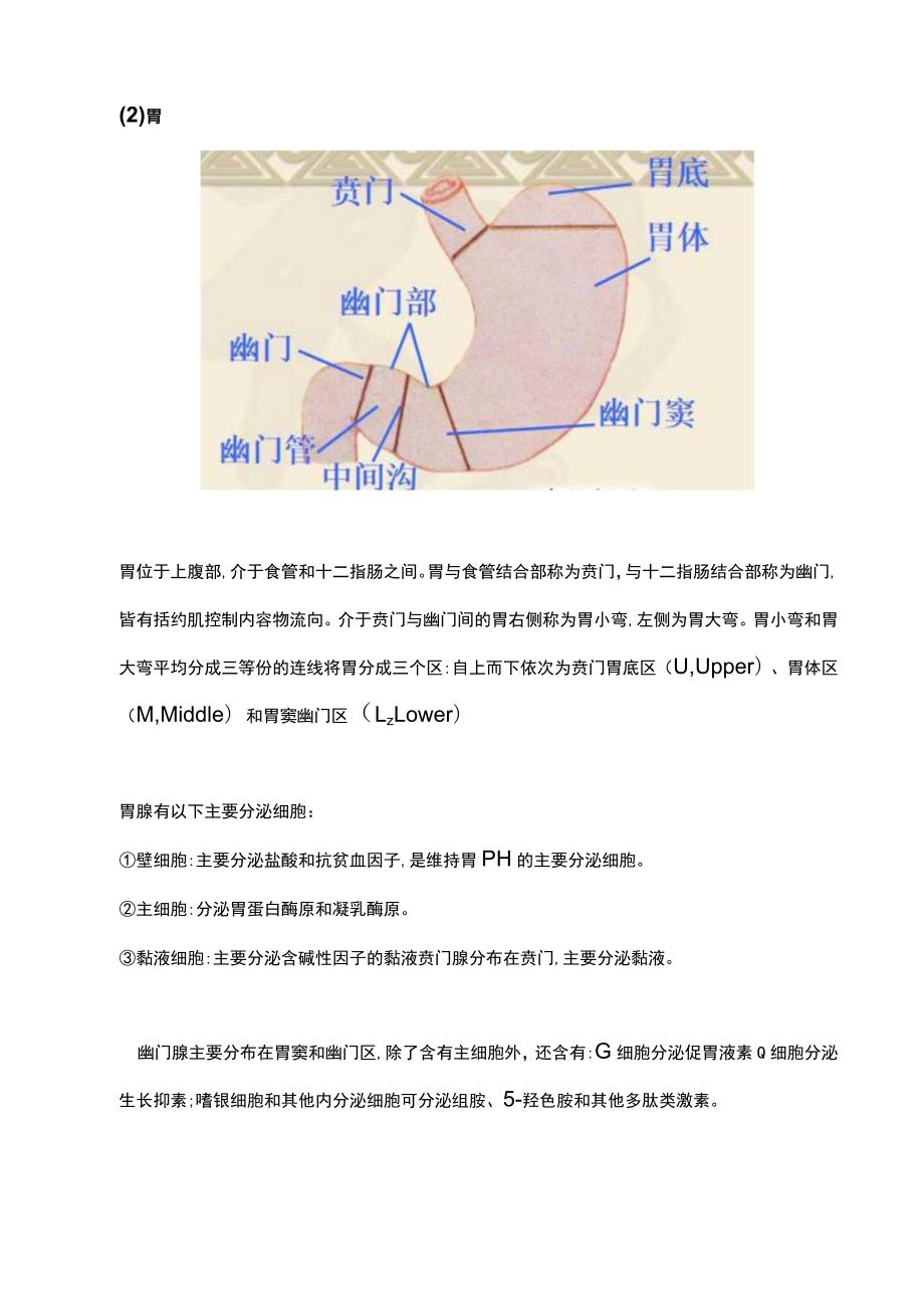 最新：上消化道出血病人的紧急处置与护理.docx_第3页