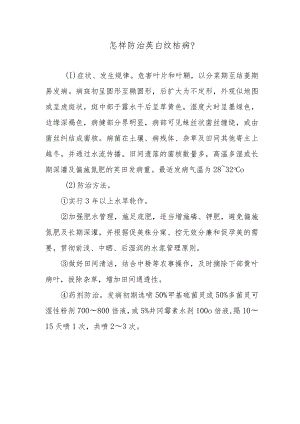 怎样防治茭白纹枯病.docx