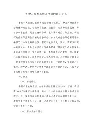 宠物人兽共患病蚤虫病的诊治要点.docx