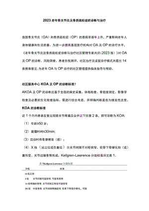 2023老年骨关节炎及骨质疏松症的诊断与治疗.docx