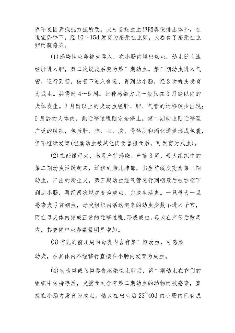 宠物人兽共患病犬弓首蛔虫病的诊治要点.docx_第2页