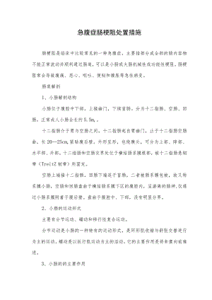 急腹症肠梗阻处置措施.docx